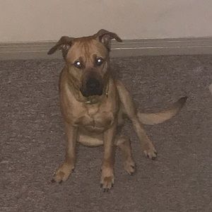 Meet your Posher, Jordan